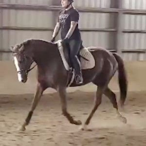 Meet your Posher, Eva